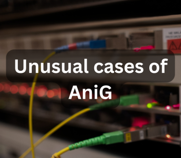 Unusual cases of AniG